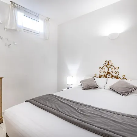 Yd The Windows On Santa Maria Novella